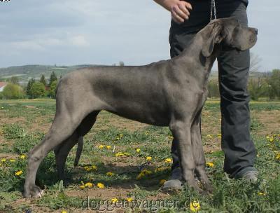 Thalia Vom Hause Wagner