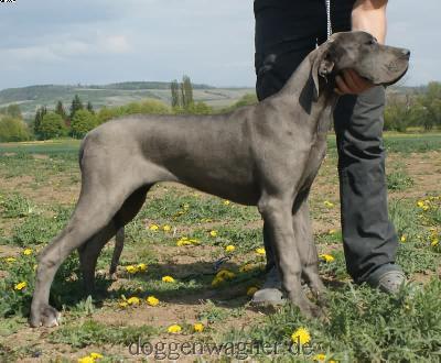 Thalia Vom Hause Wagner