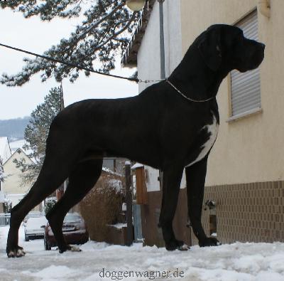 Tori Vom Hause Wagner