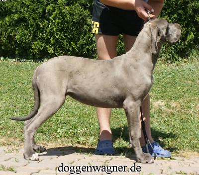 Walli Vom Hause Wagner