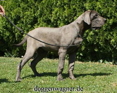 Vakant Vom Hause Wagner