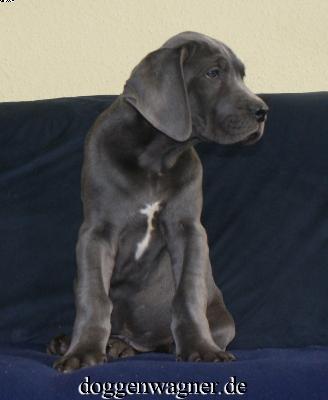 Vaduz Vom Hause Wagner