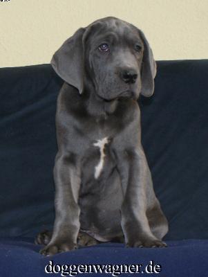 Vaduz Vom Hause Wagner