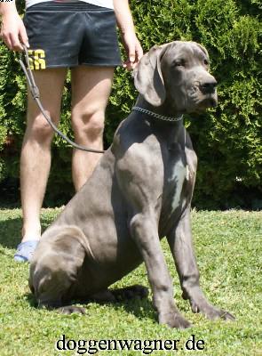 Valois Vom Hause Wagner