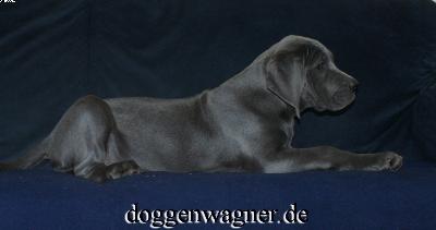 Valona Vom Hause Wagner