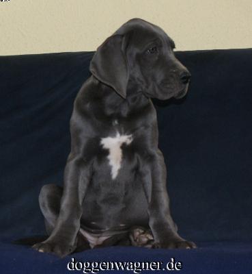 Valuta Vom Hause Wagner