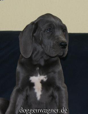 Valuta Vom Hause Wagner