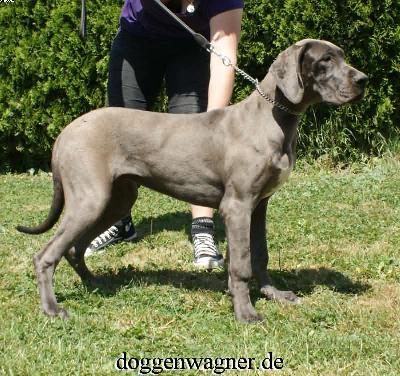 Valuta Vom Hause Wagner