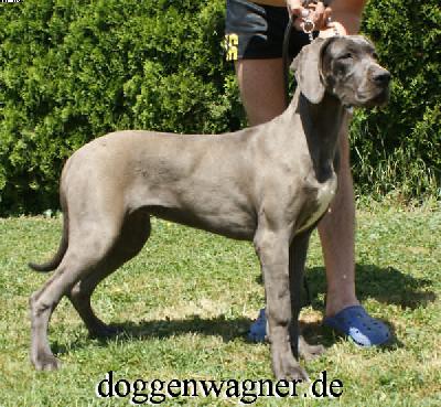 Valuta Vom Hause Wagner