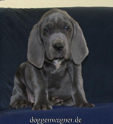 Varia Vom Hause Wagner