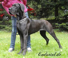 Aschenbrdel Of Love Generation