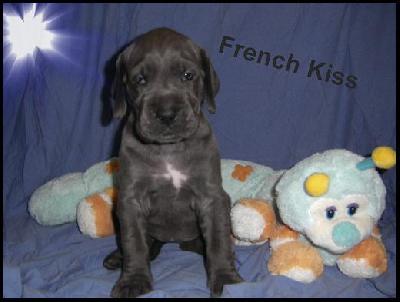 French-kiss Von Blue Ground