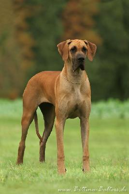 Ch Emma La Esperanza