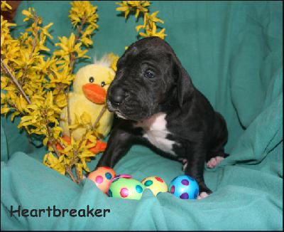 Hartbreaker Von Blue Ground