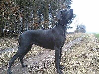 Eva-Luna Vom Edersee