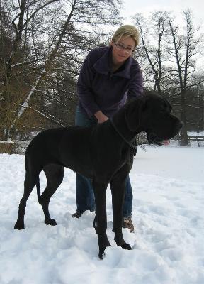 Glamour Girl Of Austria Great Stars