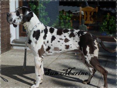 Sun Marino Vom D�nner Land