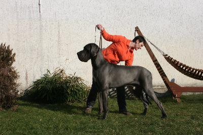 Ch Dschingis Khan Summa Cum Laude