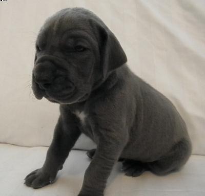 Adreju Von Der Via Vinea