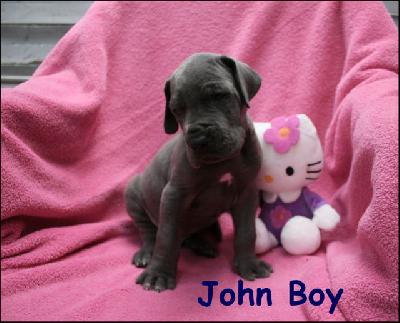 John Boy Von Blue Ground