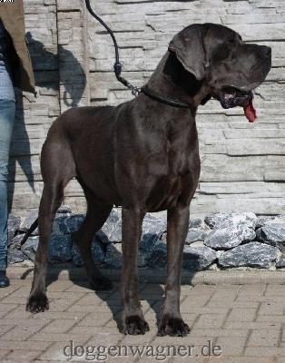 Dee Jane House Of Duke