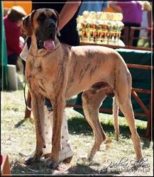 Daipur Des Terres De La Rairie