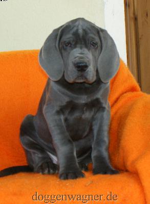 Yemin Etmek Vom Hause Wagner