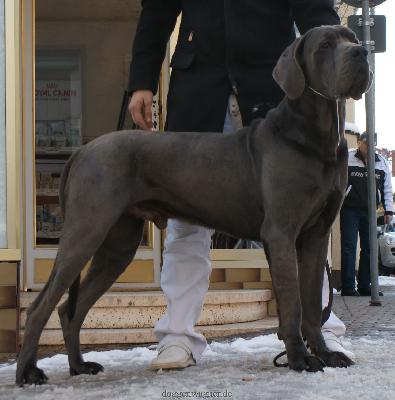 Yemin Etmek Vom Hause Wagner