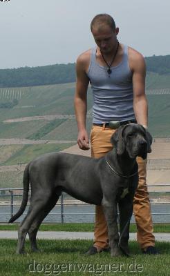 Y-Leroy Vom Hause Wagner