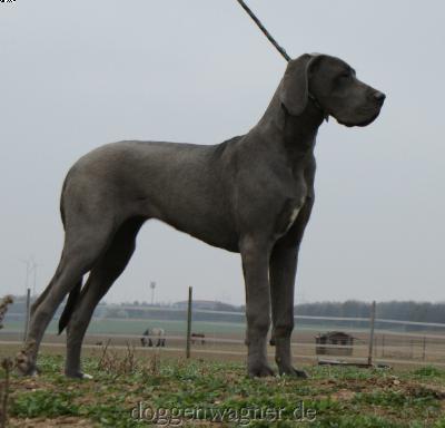 Yotta Vom Hause Wagner