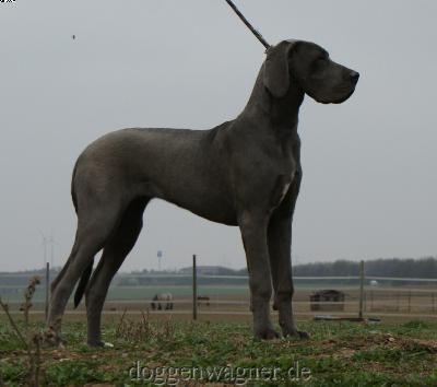 Yotta Vom Hause Wagner