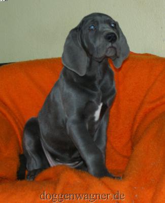 Yukari Vom Hause Wagner