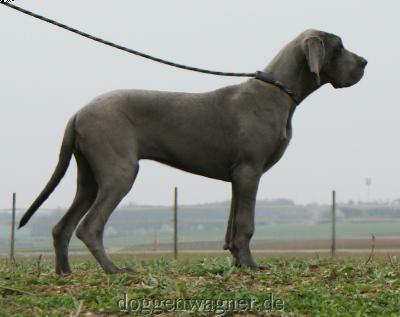 Zampa vom Hause Wagner