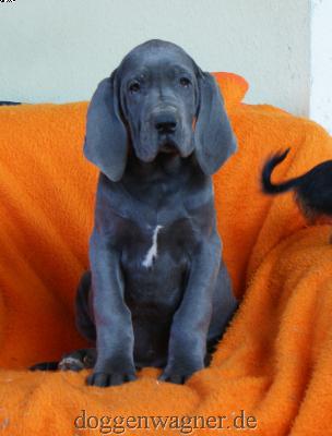 Z Reguly vom Hause Wagner