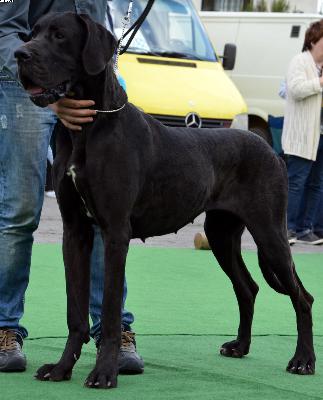 Dana von den Elf Quellen
