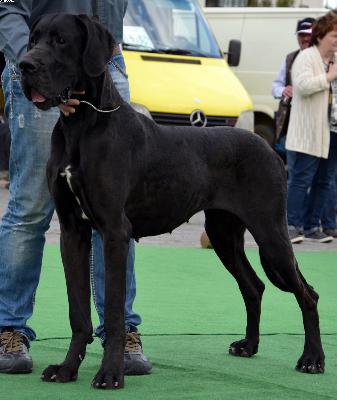 Dana von den Elf Quellen