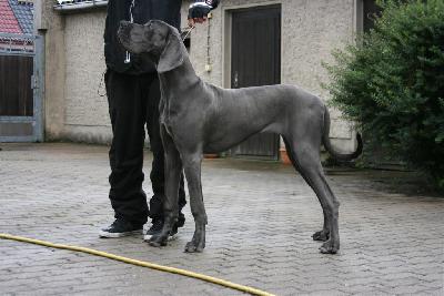 Die Prinzessin von den Elf Quellen