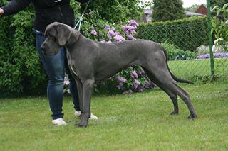 Die Prinzessin von den Elf Quellen