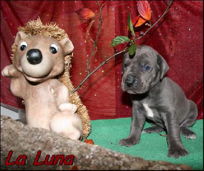 La Luna Von Blue Ground