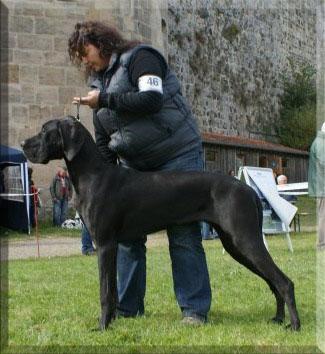 Ayuna Von Blue Ebony