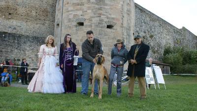 Diabolo Vom Hause Kaufmann