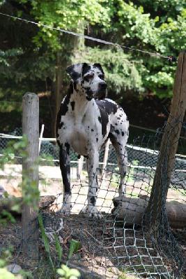 Ailin von der Sulzburg