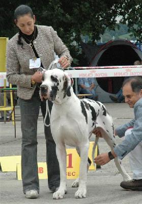 Jaures d�Attendall du Pins