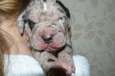 Jackpot Von Der Domaine Hohlenfels