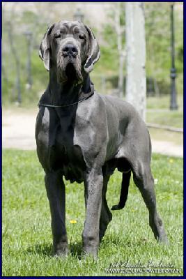 Almar della Baia Azzurra