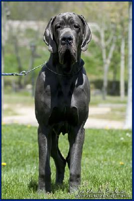 Almar della Baia Azzurra