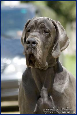 Almar della Baia Azzurra