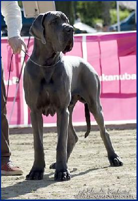 Almar della Baia Azzurra