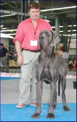 Almar della Baia Azzurra