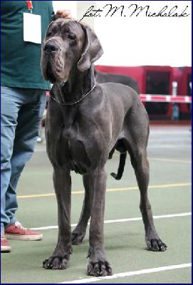 Almar della Baia Azzurra